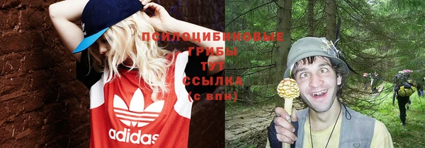 альфа пвп Краснослободск
